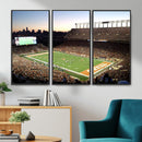 Darrell K Royal-Texas Memorial Stadium Canvas Wall Art -