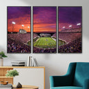 East Carolina University Pirates Football Print Canvas-