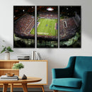 Florida Atlantic University Owls Football Team Print - Boca by MyGreatCanvas | Canvas Wall Art Prints | Photo Prints & Wall Decor