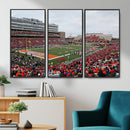 University of Illinois Fighting Illini Football Team Print -