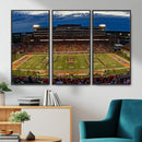 University of Illinois Fighting Illini Football Team Print -