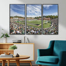 University of Charlotte 49ers Football Team Print - by MyGreatCanvas | Canvas Wall Art Prints | Photo Prints & Wall Decor