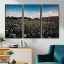 University of Charlotte 49ers Football Team Print -