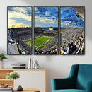 Framed USF Bulls Football Team Print - Tampa Raymond James