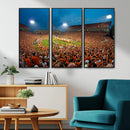 Clemson University Tigers Football Team Print - Clemson