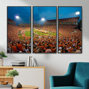 Clemson University Tigers Football Team Print - Clemson