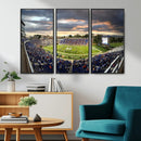 Duke University Blue Devils Football Team Print - Durham