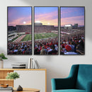 Indiana University Hoosiers Football Team Print -