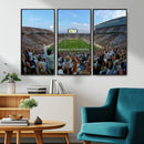 Michigan State Spartans Football Team Art Print - East