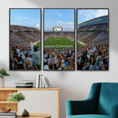 Michigan State Spartans Football Team Art Print - East