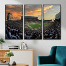 Michigan State Spartans Football Team Print - East Lansing
