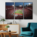 Ohio State University Buckeyes Football Team Print -
