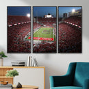 Ohio State University Buckeyes Football Team Print -