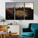 Ohio State University Buckeyes Football Team Print -