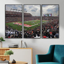 Rutgers Scarlet Knights Football Team Print - SHI Stadium,
