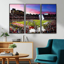 Stanford University Cardinal Football Team Print - Stanford