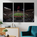 Framed Texas Tech Red Raiders Stadium Canvas, Texas Tech Red