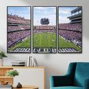 TCU Horned Frogs Football Team Print - Fort Worth Amon G.