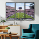 TCU Horned Frogs Football Team Print - Fort Worth Amon G.