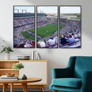 The Texas Christian University TCU Horned Frogs Football