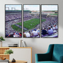 The Texas Christian University TCU Horned Frogs Football