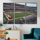 The Temple University Owls Athletics Team Print -