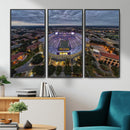 The Louisiana State University Tigers Football Team Print -