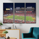 The University of Southern California USC Trojans Football