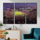 The University of Southern California USC Trojans Football