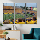 Puskar Stadium Canvas Print Wall Art - Morgantown Print -