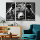 Resting Grizzly 399 Bear Canvas Print | Ready to Hang Wall