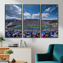 Air Force Falcons Football Team Print - Colorado Springs