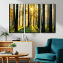 Sunlit Forest Wall Art Canvas Print – Large Framed Woodland