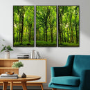Lush Green Forest Canvas Print | 3-Panel Forest Wall Art |
