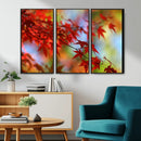 Red Leaves Autumn Forest Wall Art Canvas, Red Leaves Autumn by MyGreatCanvas | Canvas Wall Art Prints | Photo Prints & Wall Decor
