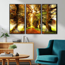 Sunshine in Forest and Trees Wall Art Canvas Print by MyGreatCanvas | Canvas Wall Art Prints | Photo Prints & Wall Decor