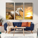 Large Wall Art Galloping White Horse at Sunset Canvas Print