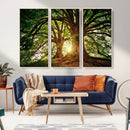 Majestic Ancient Tree Wall Art, NatureCanvas Print, Woodland by MyGreatCanvas | Canvas Wall Art Prints | Photo Prints & Wall Decor