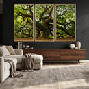 Angel Oak Tree Wall Art Canvas Print | Forest Tree Nature