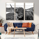 Longhorn Steer Canvas Print Wall Art, Highland Cow Canvas by MyGreatCanvas | Canvas Wall Art Prints | Photo Prints & Wall Decor