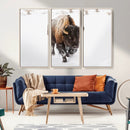 Bison Winter Wall Art Canvas Print For Farmhouse Decor
