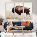 Bison in Field Wall Art Canvas Print For Farmhouse Barn