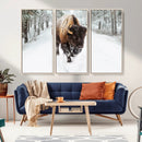 Bison Wall Art Canvas Print For Farmhouse, Animal Canvas by MyGreatCanvas | Canvas Wall Art Prints | Photo Prints & Wall Decor