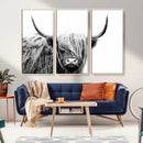 Black White Scottish Highland Cow Cattle Art Print Farmhouse