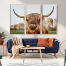 Highland Cow Animal Scottish Cattle Art Print Farmhouse Wall