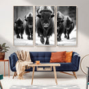 American Bison Art | Buffalo Herd Wall Art Canvas Print, BW