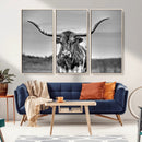 Texas Longhorn Cow Wall Art, Texas Longhorn Canvas, Cattle