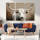 White Longhorn Bull Wall Art Canvas Print – Framed and Ready