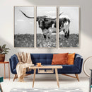 Texas Black White Highland Longhorn Cow Wall Art Canvas by MyGreatCanvas | Canvas Wall Art Prints | Photo Prints & Wall Decor