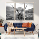 Black White Scottish Highland Cow Canvas Farm Wall Art